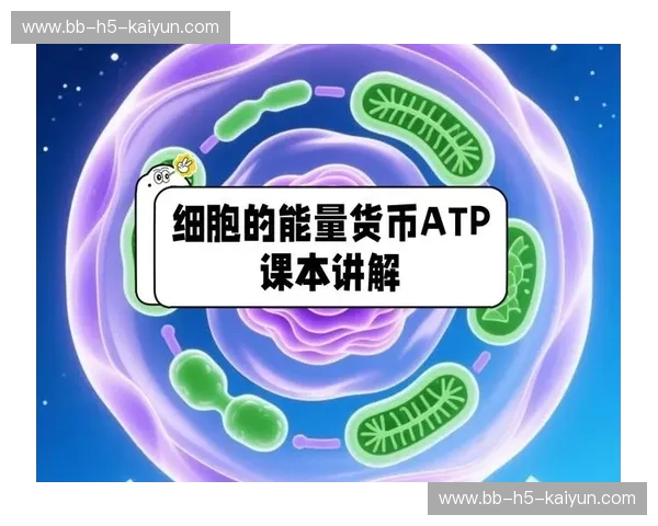 ATP:细胞的能量货币,唤醒生活每一刻的活力密码 ATP:细胞的能量货币,唤醒生活每一刻的活力密码
